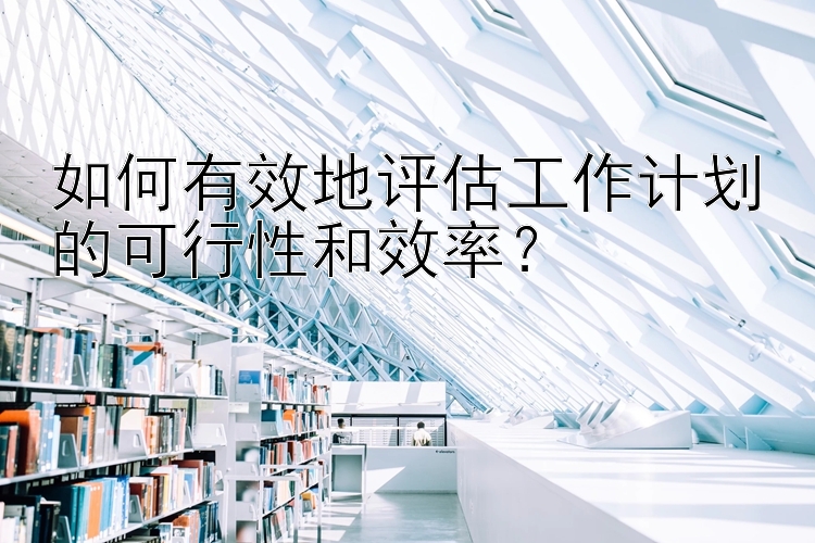 如何有效地评估工作计划的可行性和效率？