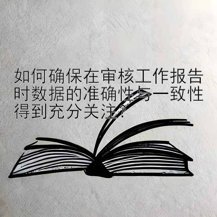 如何确保在审核工作报告时数据的准确性与一致性得到充分关注？