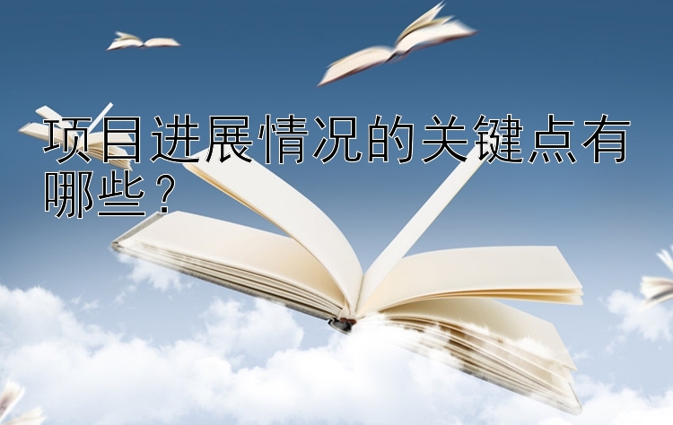 项目进展情况的关键点有哪些？