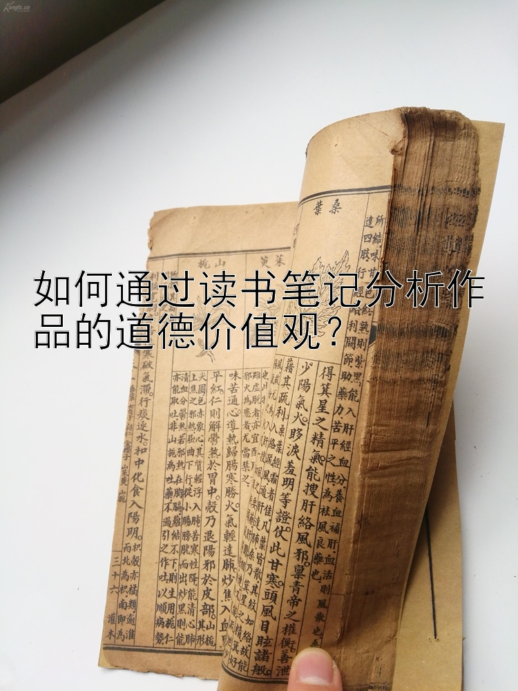 如何通过读书笔记分析作品的道德价值观？