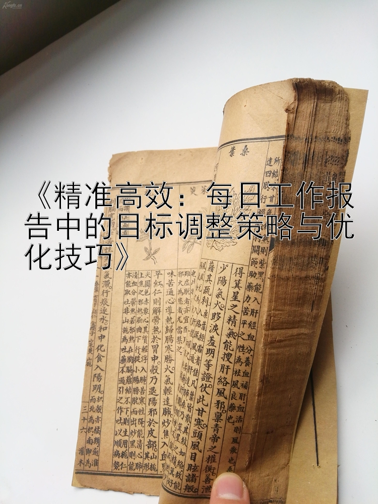 《精准高效：每日工作报告中的目标调整策略与优化技巧》