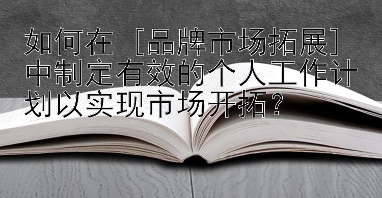 如何在 [品牌市场拓展] 中制定有效的个人工作计划以实现市场开拓？